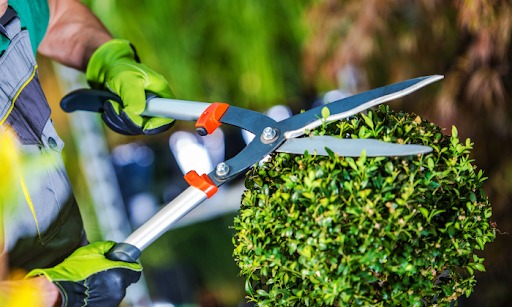 Jardinagem profissional